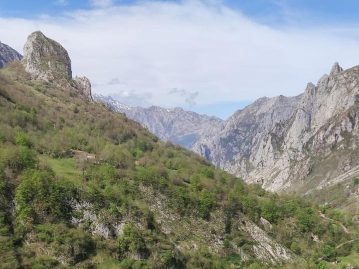 La Casina De Tielve De Cabrales Dentro Del Parque Nacional Picos De Europa Villa Exterior foto